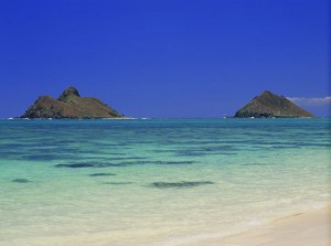 Top Beaches Hawaii