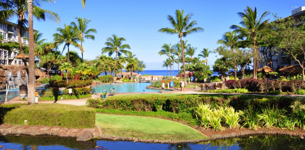 Vacation Travel Specials