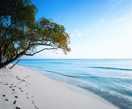 Almond Beach - Barbados Vacations