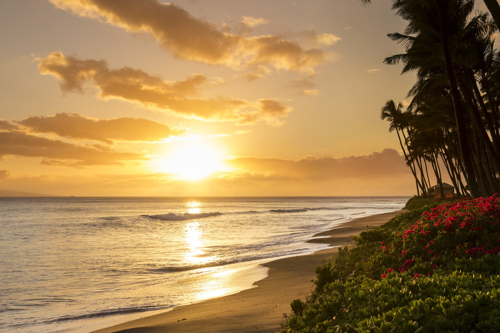 Sunset Maui Hawaii Beaches 4k Hawaii Sunset Ocean Beach Nature Coast