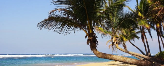 What to Do in the DR